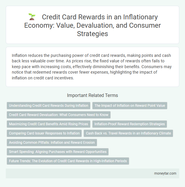 Credit Card Rewards in an Inflationary Economy: Value, Devaluation, and Consumer Strategies