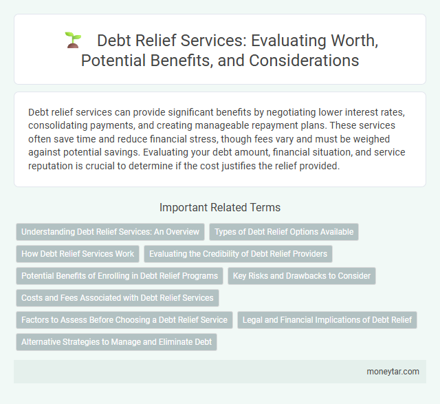 Debt Relief Services: Evaluating Worth, Potential Benefits, and Considerations