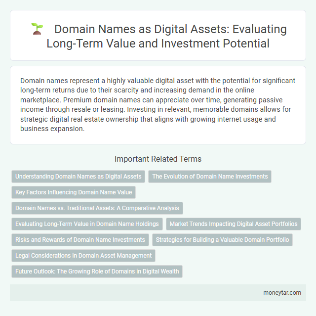 Domain Names as Digital Assets: Evaluating Long-Term Value and Investment Potential