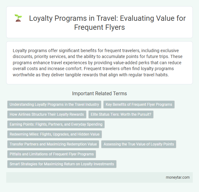 Loyalty Programs in Travel: Evaluating Value for Frequent Flyers