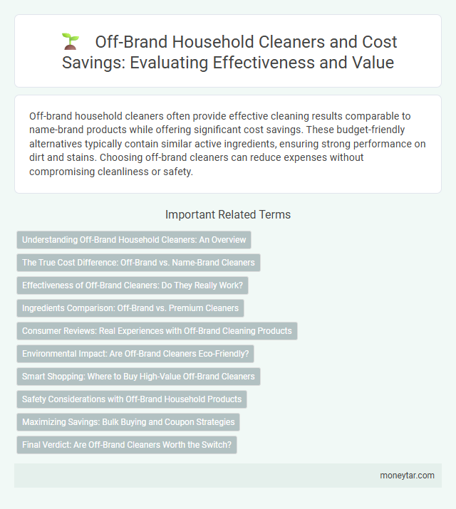 Off-Brand Household Cleaners and Cost Savings: Evaluating Effectiveness and Value