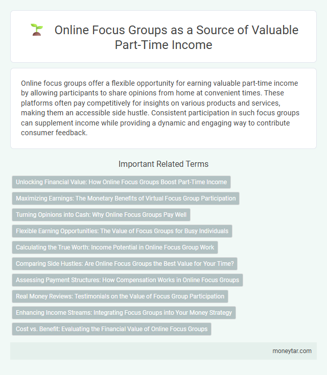 Online Focus Groups as a Source of Valuable Part-Time Income