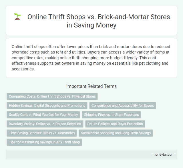 Online Thrift Shops vs. Brick-and-Mortar Stores in Saving Money