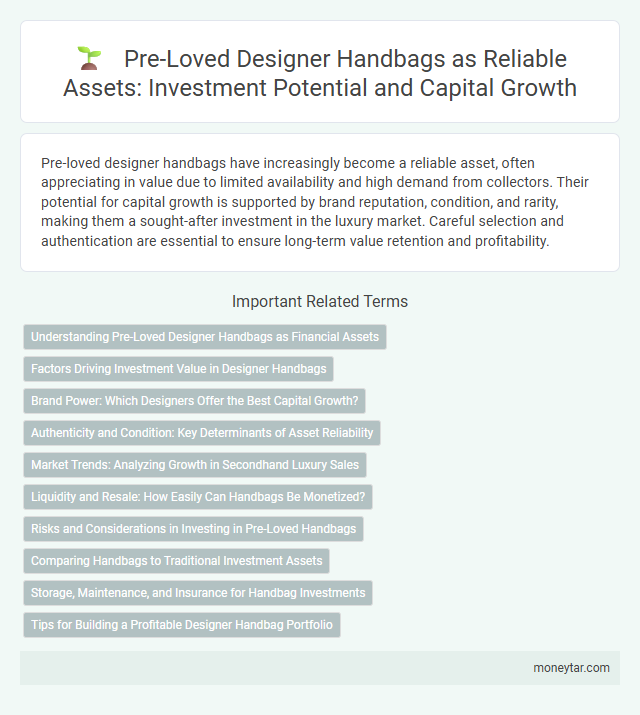Pre-Loved Designer Handbags as Reliable Assets: Investment Potential and Capital Growth