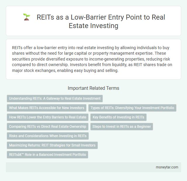 REITs as a Low-Barrier Entry Point to Real Estate Investing