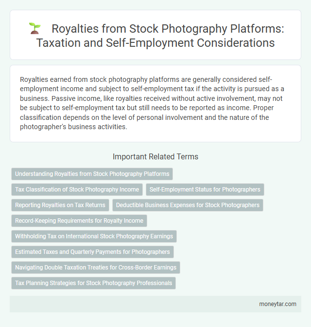 Royalties from Stock Photography Platforms: Taxation and Self-Employment Considerations