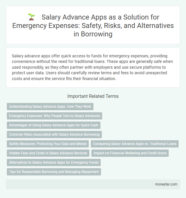 Salary Advance Apps as a Solution for Emergency Expenses: Safety, Risks, and Alternatives in Borrowing