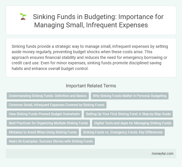Sinking Funds in Budgeting: Importance for Managing Small, Infrequent Expenses