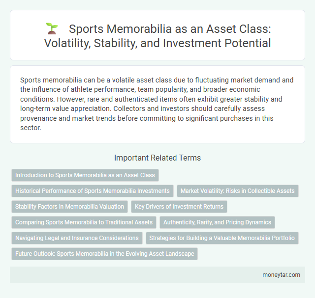 Sports Memorabilia as an Asset Class: Volatility, Stability, and Investment Potential