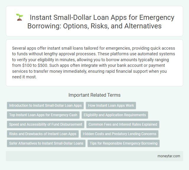 Instant Small-Dollar Loan Apps for Emergency Borrowing: Options, Risks, and Alternatives