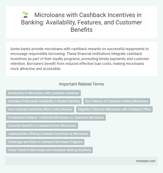 Microloans with Cashback Incentives in Banking: Availability, Features, and Customer Benefits