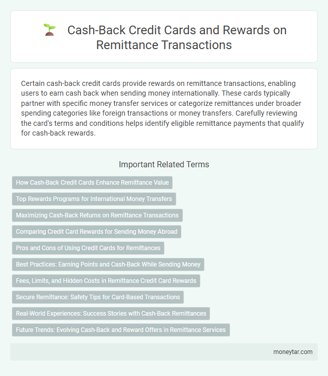 Cash-Back Credit Cards and Rewards on Remittance Transactions