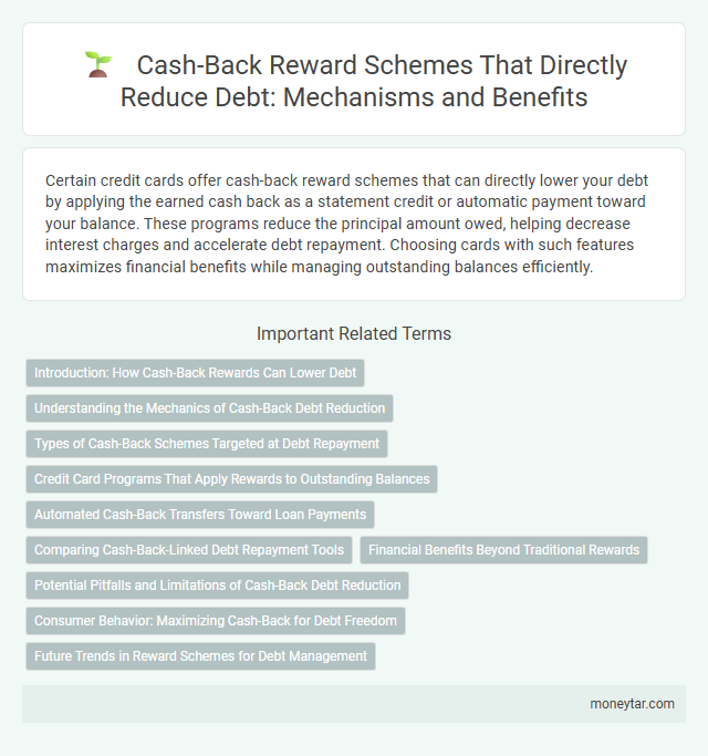 Cash-Back Reward Schemes That Directly Reduce Debt: Mechanisms and Benefits