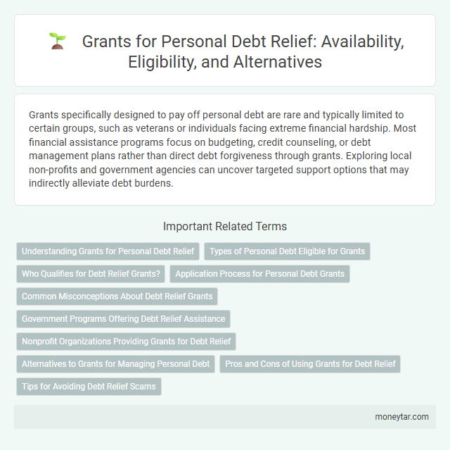 Grants for Personal Debt Relief: Availability, Eligibility, and Alternatives