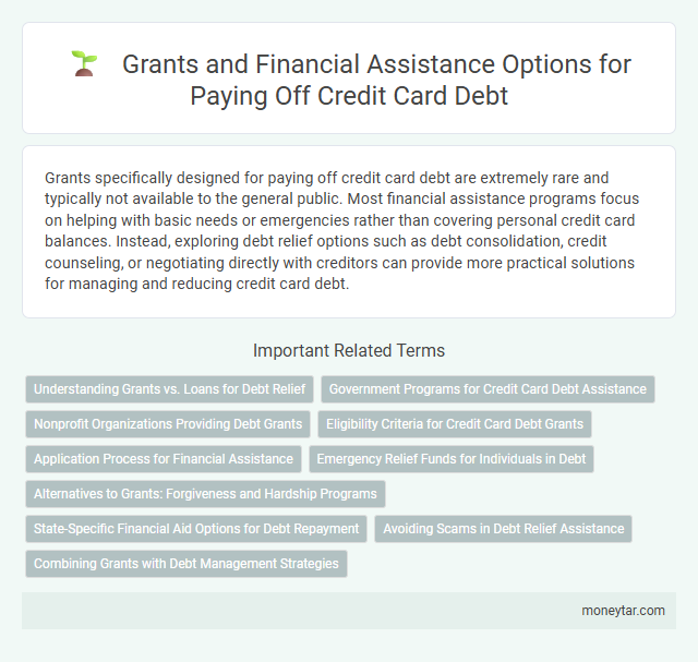 Grants and Financial Assistance Options for Paying Off Credit Card Debt