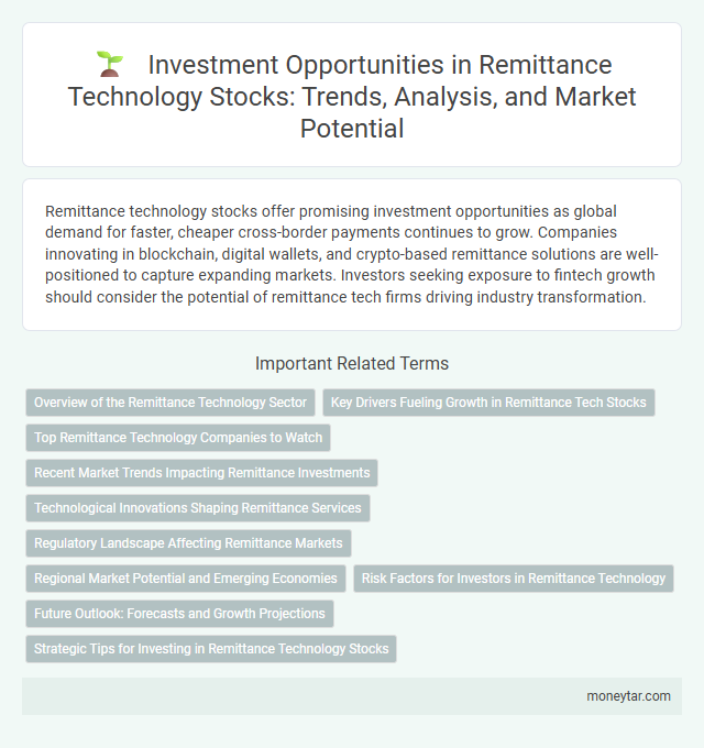 Investment Opportunities in Remittance Technology Stocks: Trends, Analysis, and Market Potential