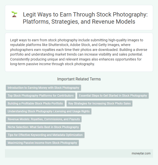 Legit Ways to Earn Through Stock Photography: Platforms, Strategies, and Revenue Models