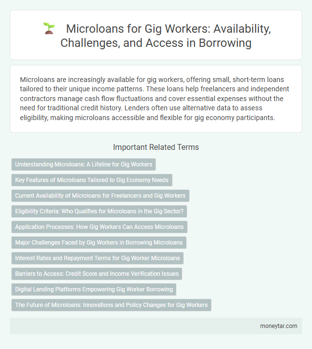 Microloans for Gig Workers: Availability, Challenges, and Access in Borrowing