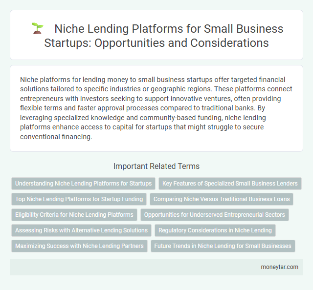 Niche Lending Platforms for Small Business Startups: Opportunities and Considerations