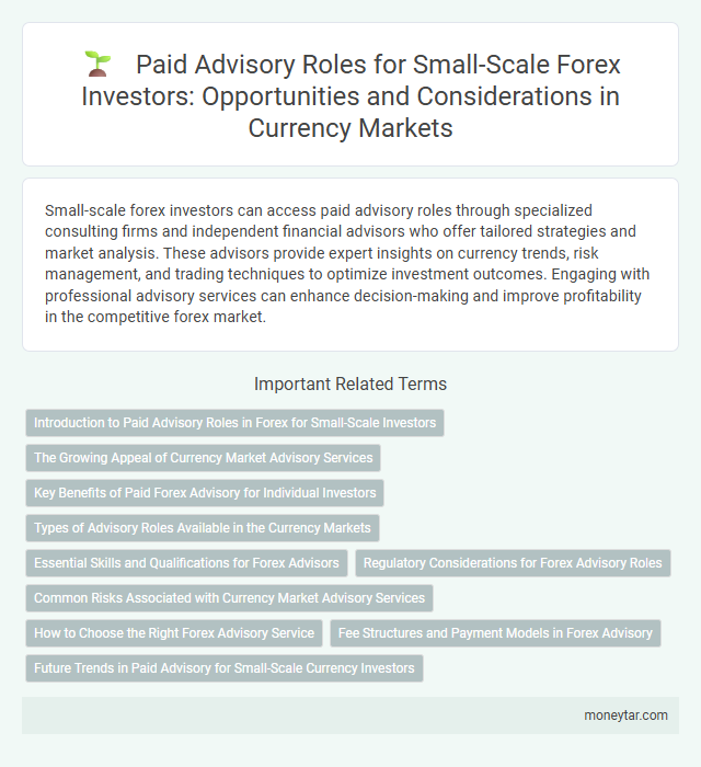 Paid Advisory Roles for Small-Scale Forex Investors: Opportunities and Considerations in Currency Markets