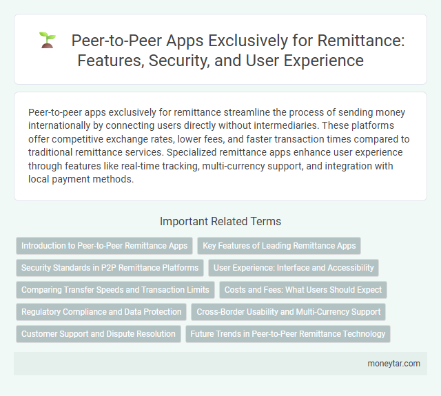 Peer-to-Peer Apps Exclusively for Remittance: Features, Security, and User Experience