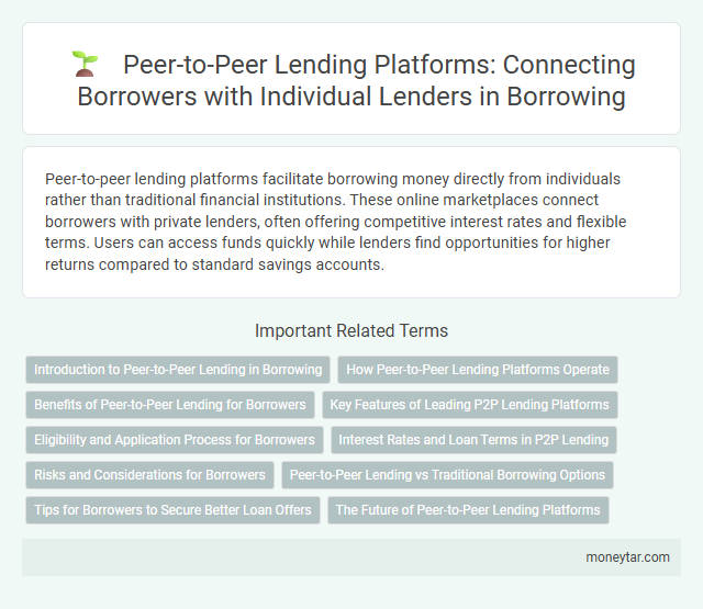 Peer-to-Peer Lending Platforms: Connecting Borrowers with Individual Lenders in Borrowing