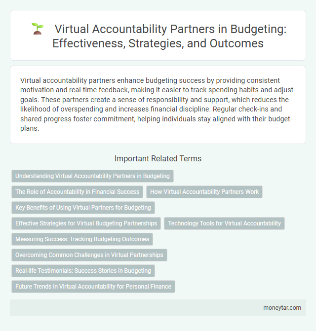 Virtual Accountability Partners in Budgeting: Effectiveness, Strategies, and Outcomes