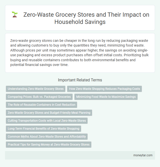 Zero-Waste Grocery Stores and Their Impact on Household Savings