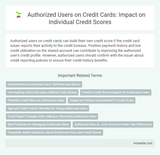 Authorized Users on Credit Cards: Impact on Individual Credit Scores
