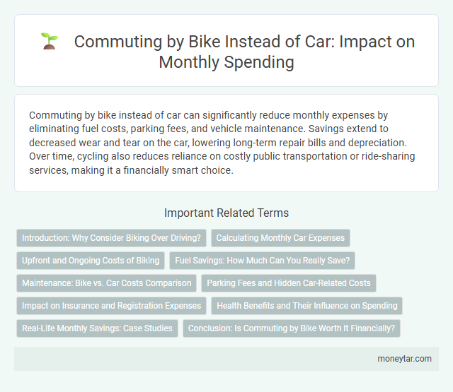 Commuting by Bike Instead of Car: Impact on Monthly Spending