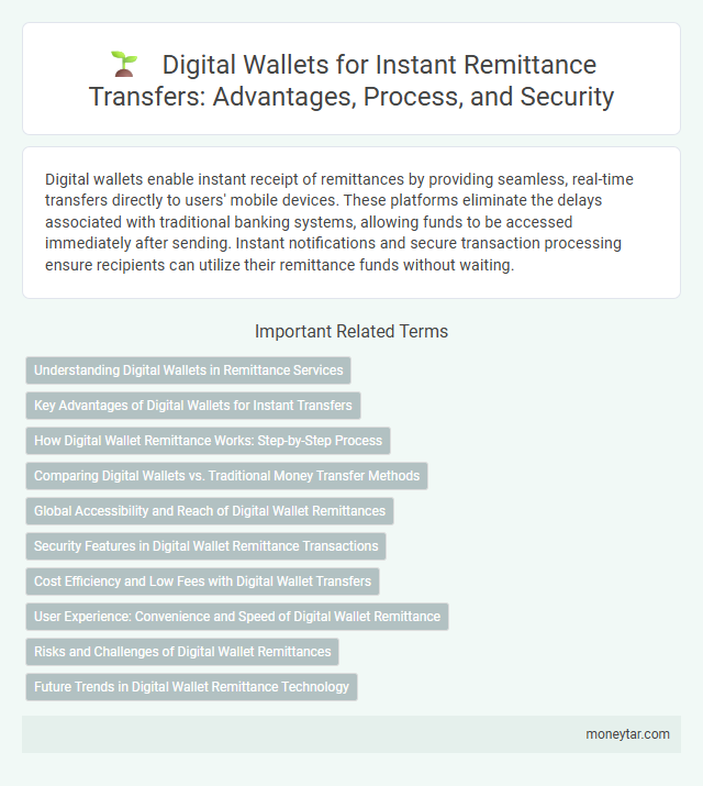 Digital Wallets for Instant Remittance Transfers: Advantages, Process, and Security