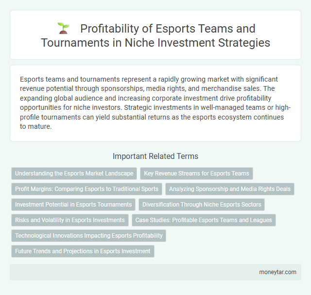 Profitability of Esports Teams and Tournaments in Niche Investment Strategies