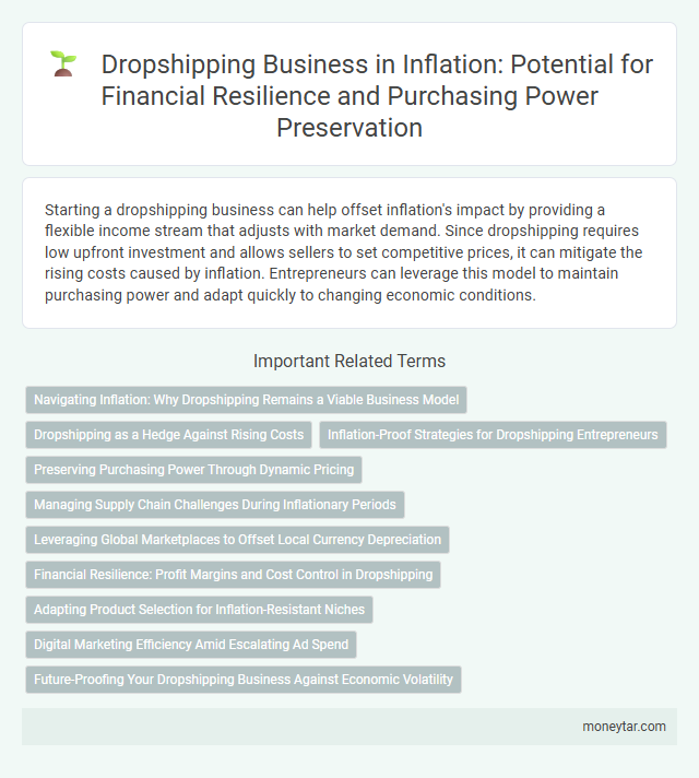 Dropshipping Business in Inflation: Potential for Financial Resilience and Purchasing Power Preservation