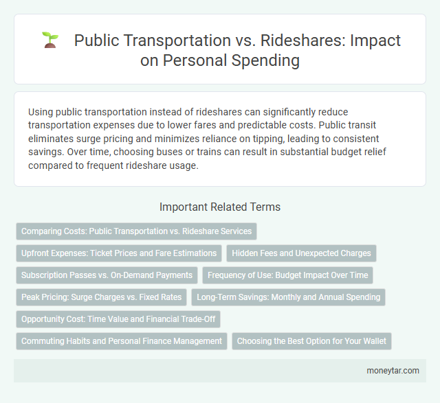 Public Transportation vs. Rideshares: Impact on Personal Spending
