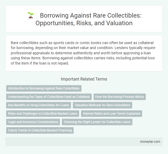 Borrowing Against Rare Collectibles: Opportunities, Risks, and Valuation