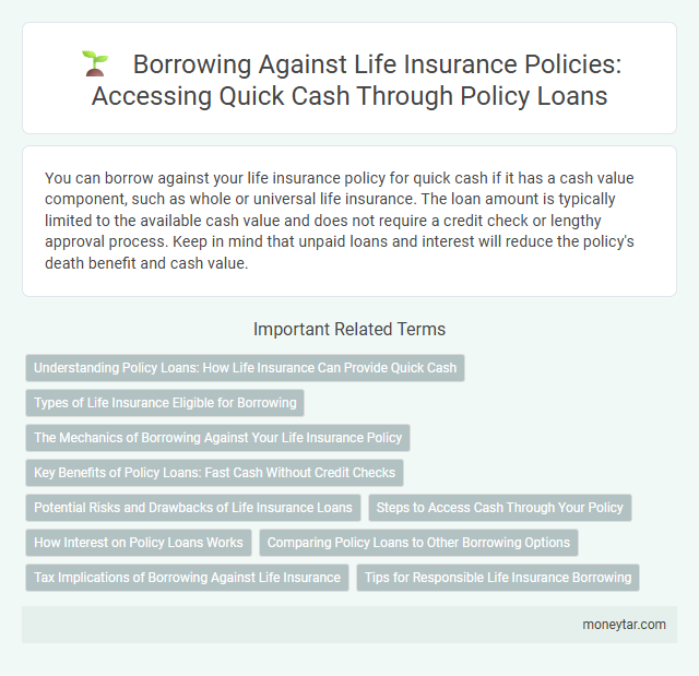 Borrowing Against Life Insurance Policies: Accessing Quick Cash Through Policy Loans