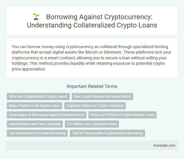 Borrowing Against Cryptocurrency: Understanding Collateralized Crypto Loans