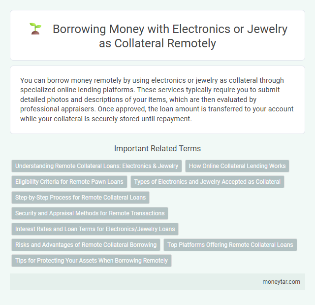 Borrowing Money with Electronics or Jewelry as Collateral Remotely