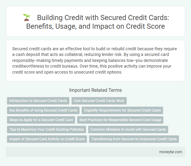 Building Credit with Secured Credit Cards: Benefits, Usage, and Impact on Credit Score