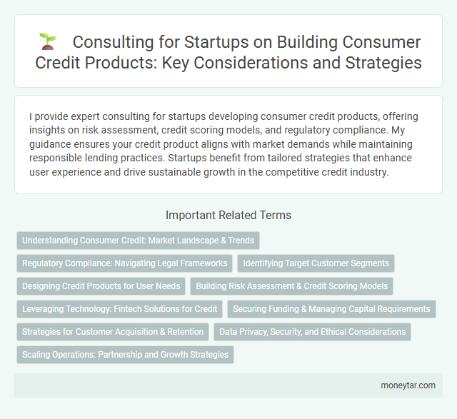 Consulting for Startups on Building Consumer Credit Products: Key Considerations and Strategies