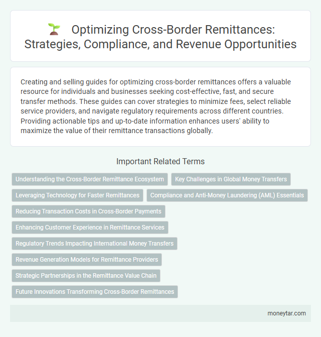 Optimizing Cross-Border Remittances: Strategies, Compliance, and Revenue Opportunities