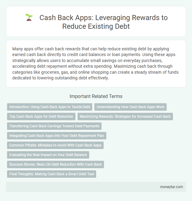 Cash Back Apps: Leveraging Rewards to Reduce Existing Debt