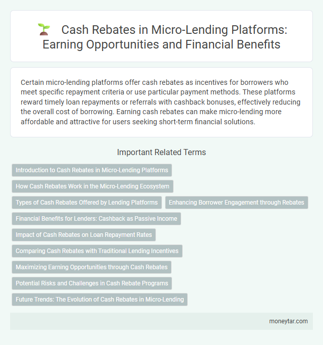 Cash Rebates in Micro-Lending Platforms: Earning Opportunities and Financial Benefits