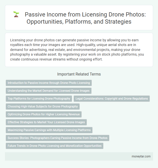 Passive Income from Licensing Drone Photos: Opportunities, Platforms, and Strategies