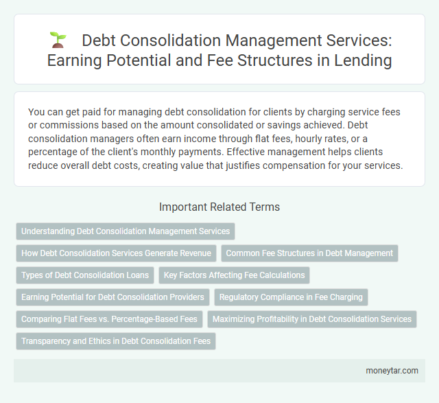 Debt Consolidation Management Services: Earning Potential and Fee Structures in Lending