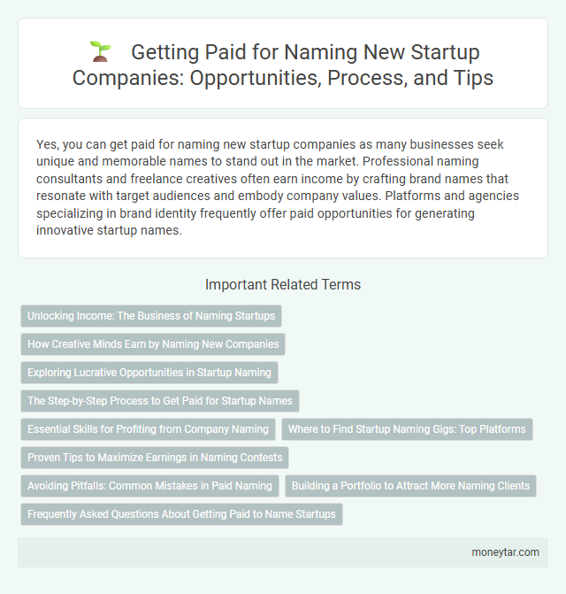 Getting Paid for Naming New Startup Companies: Opportunities, Process, and Tips