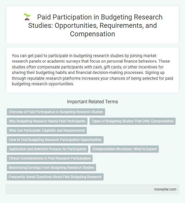 Paid Participation in Budgeting Research Studies: Opportunities, Requirements, and Compensation