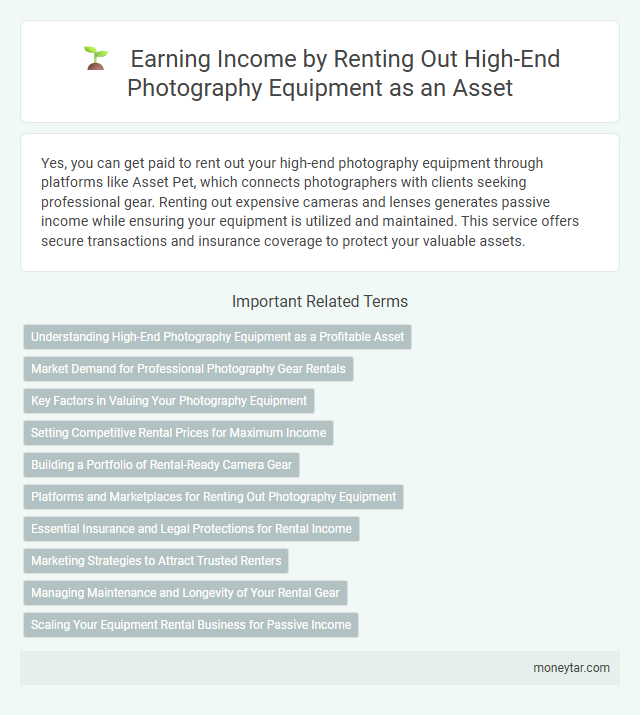 Earning Income by Renting Out High-End Photography Equipment as an Asset
