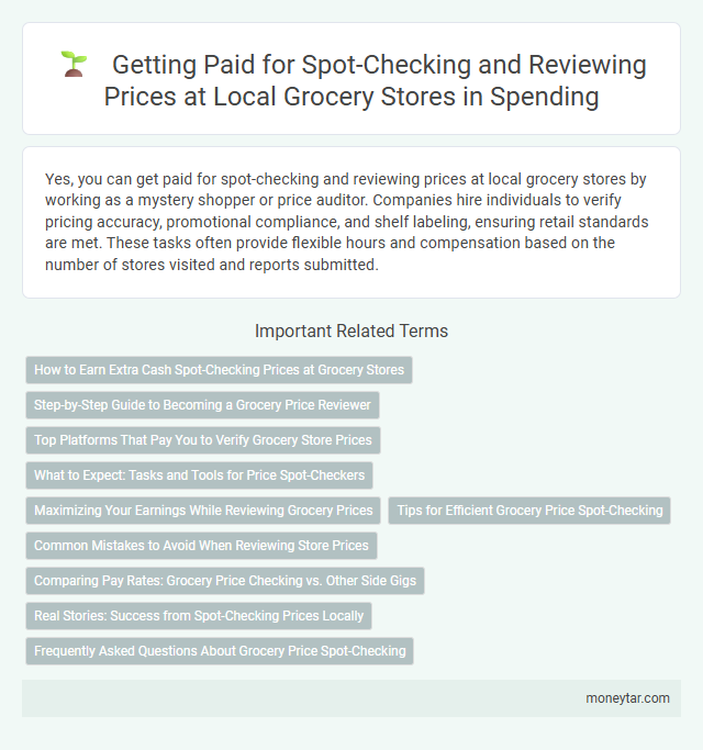 Getting Paid for Spot-Checking and Reviewing Prices at Local Grocery Stores in Spending