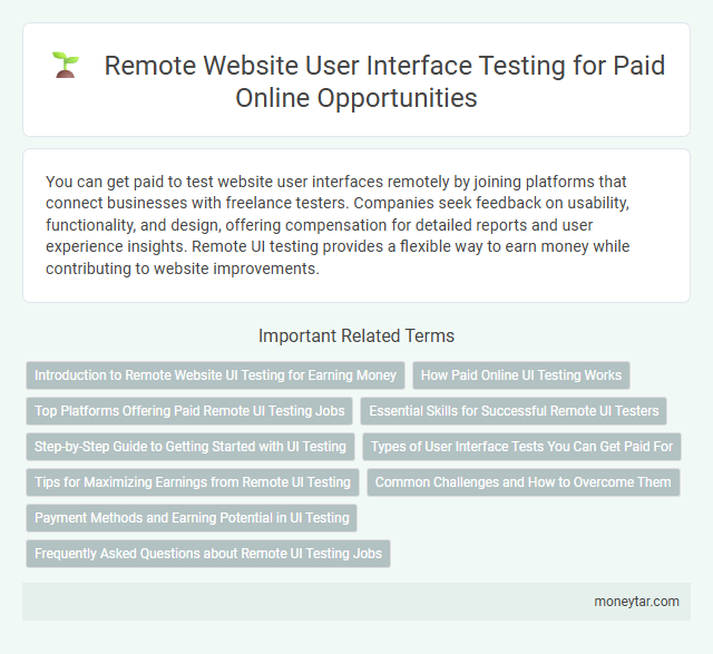 Remote Website User Interface Testing for Paid Online Opportunities